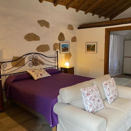 圣米格尔德阿沃纳Casa La Tosca别墅 外观 照片
